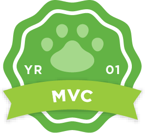 Year 1 - MVC