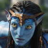 avatar.png