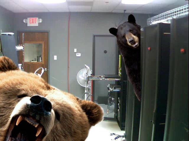 My resolution is to reduce the outbreak of bears in the data center by 30% this year. Meraki is like bear repellent and makes my life easier.