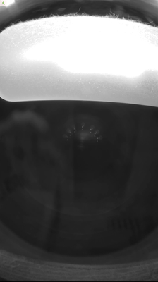 08-07-_2020_12-21-28.png 08-07-_2020_12-21-28.png