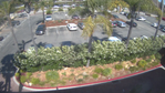 Parking Lot