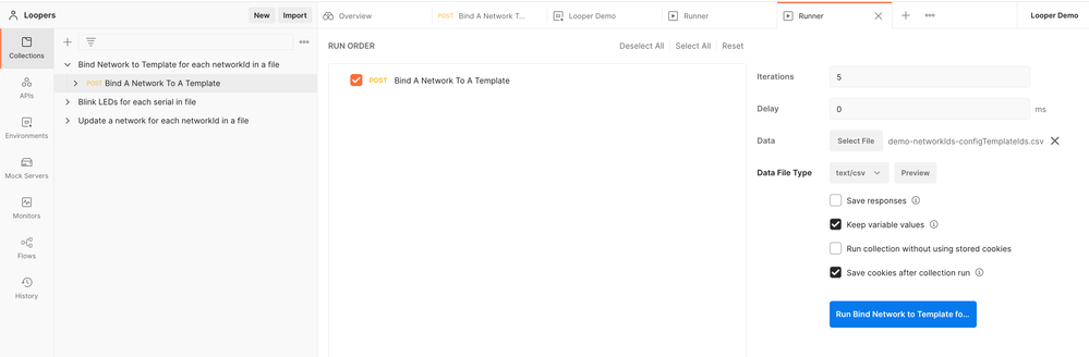 Bind Network Runner setup.png