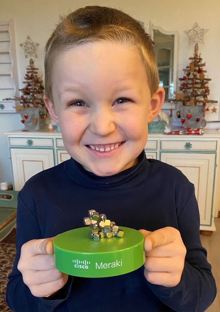 Cisco Meraki Security Dog (magnetic)