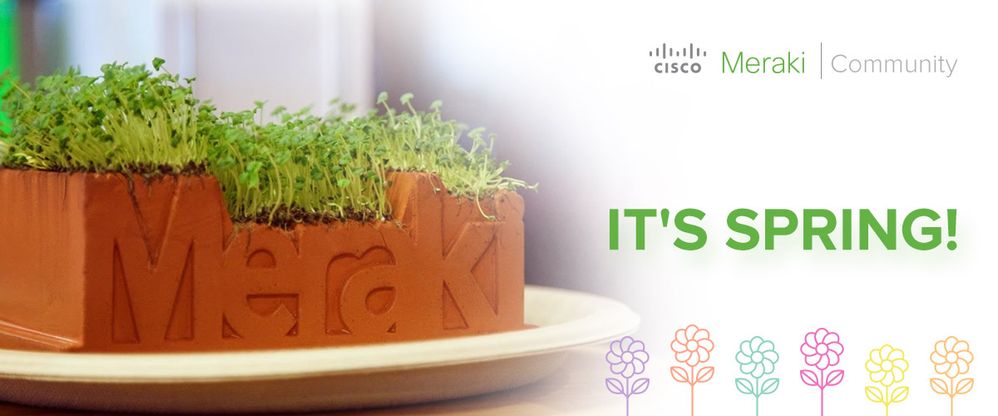meraki-community-spring-email-banner.jpg meraki-community-spring-email-banner.jpg