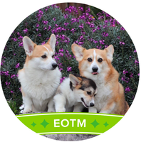 KathleenJ EOTM.png KathleenJ EOTM.png