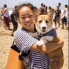 corgi.jpg
