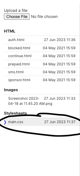 Screenshot 2023-06-27 at 12.59.58 PM.png