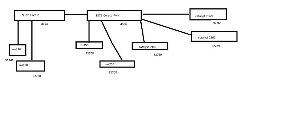 network layout.jpg