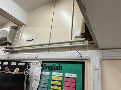 IMG_5478.jpeg IMG_5478.jpeg