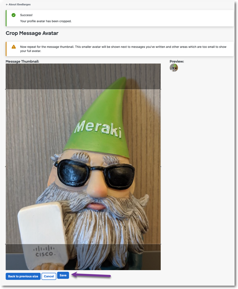 Second crop: Message avatar