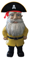 pirate_gnome.png pirate_gnome.png