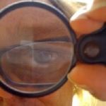 Profile (Polymathink)