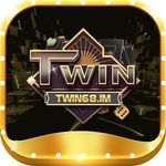 twin68im
