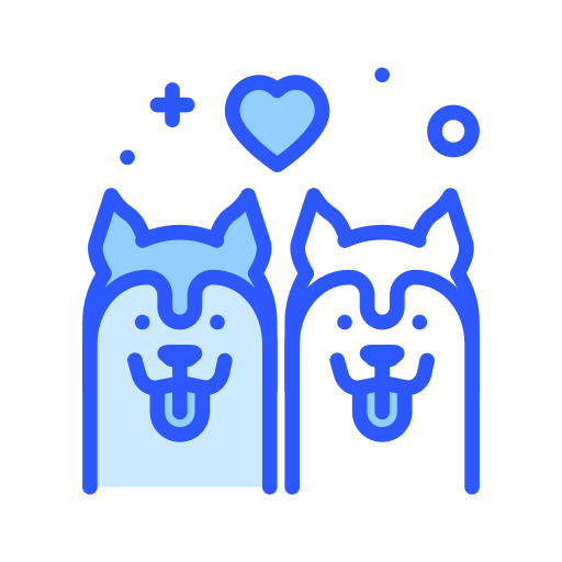 Celebrate International Dog Day with Meraki!