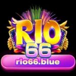 rio66blue