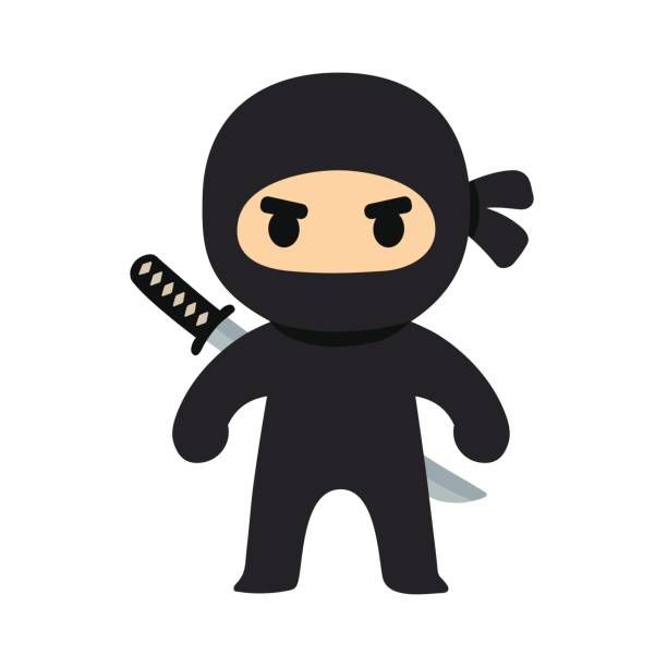 Ninja.jpg