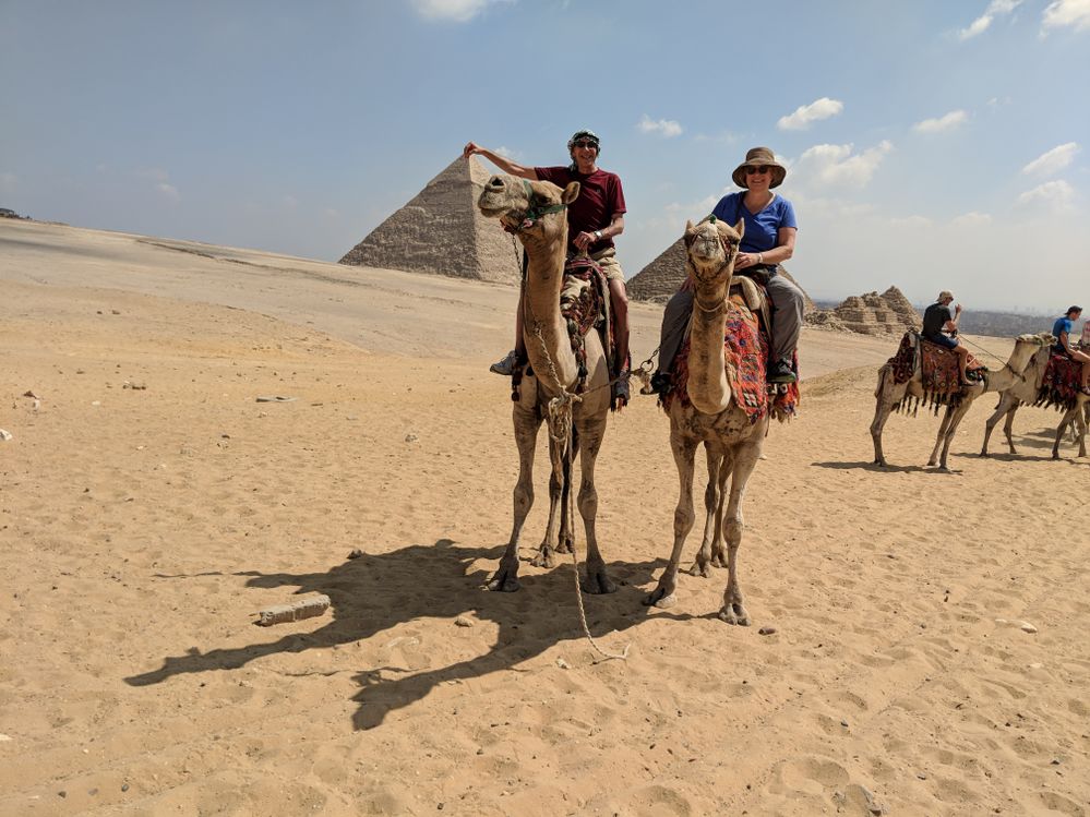 Resting easy, knowing I can manage my clients Meraki networks from the back of a camel if needed!