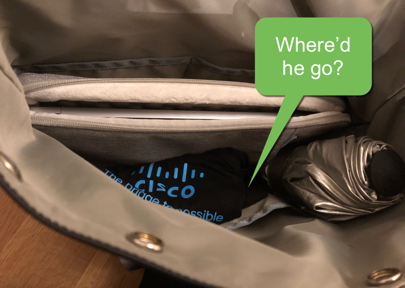 gnome-bag.png Turns out it's difficult to take a good picture of the inside of a laptop bag