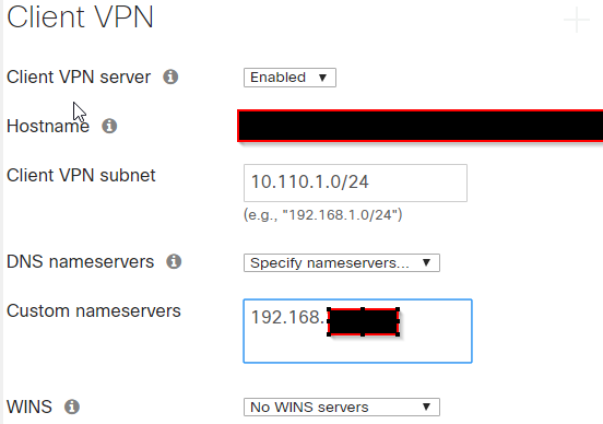 clientvpn.png