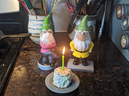 00000PORTRAIT_00000_BURST20200820152923268.jpg 00000PORTRAIT_00000_BURST20200820152923268.jpg