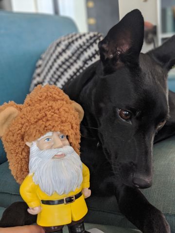 00100dPORTRAIT_00100_BURST20200820144726686_COVER.jpg 00100dPORTRAIT_00100_BURST20200820144726686_COVER.jpg