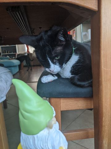 IMG_20200820_145904.jpg IMG_20200820_145904.jpg