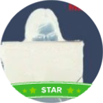 Lourdes-star.png Lourdes-star.png