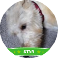 JonP-Star.png JonP-Star.png