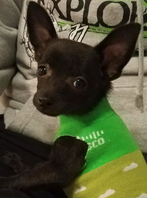 maui.png Photo by Mr_IT_Guy