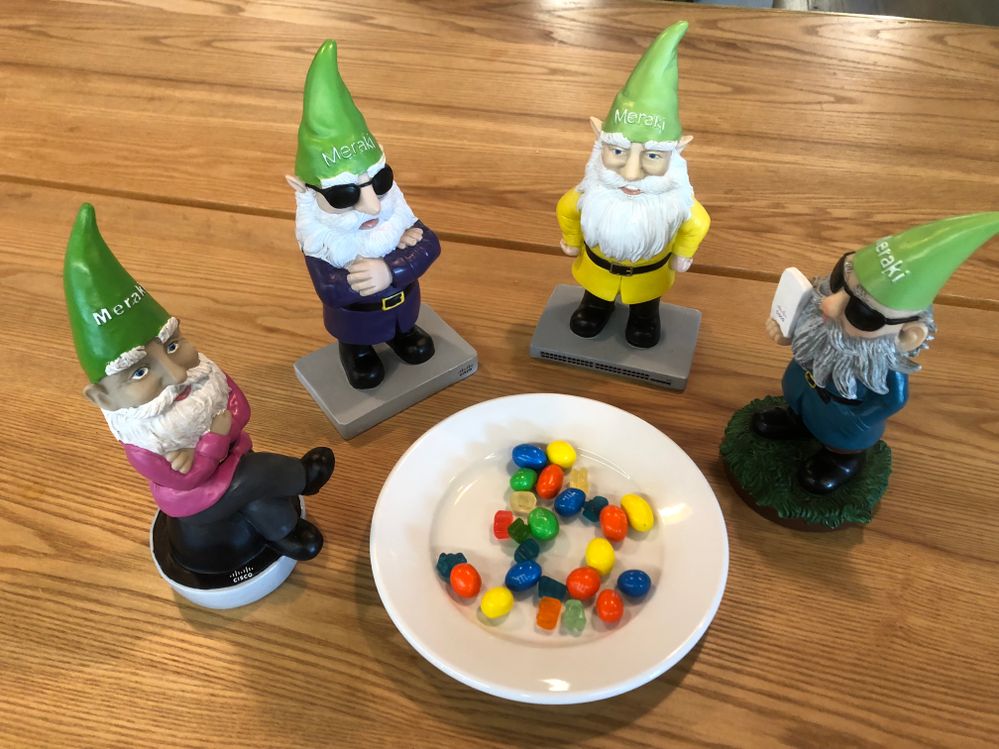 Gnome picnic! They seem to like the sweet treats