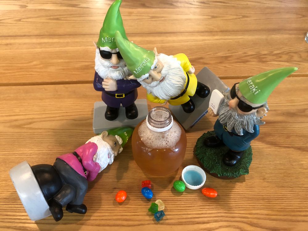 Gnomes gone wild!