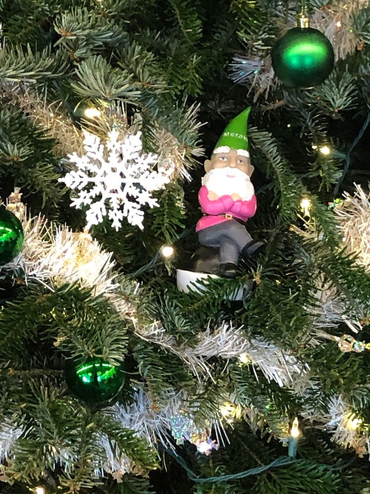 mv-tree.jpg mv-tree.jpg
