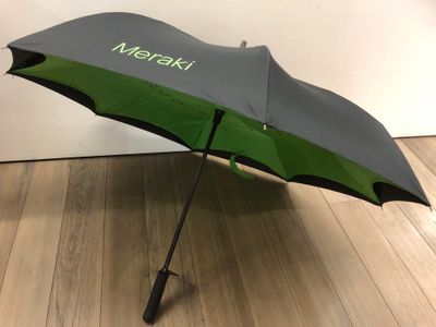 Meraki umbrella - unfolded