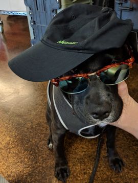 MVIMG_20190312_131726.jpg MVIMG_20190312_131726.jpg